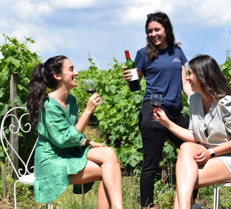 From Bordeaux: Medoc 2 Chateaux Tour, Wine & Gourmet Platter