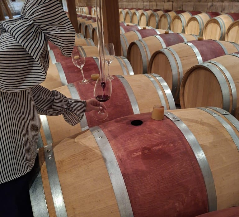 From Bordeaux: Medoc 2 Chateaux Tour, Wine & Gourmet Platter
