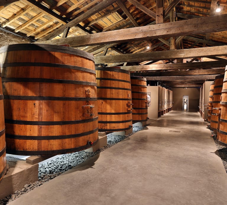 From Bordeaux: Medoc 2 Chateaux Tour, Wine & Gourmet Platter