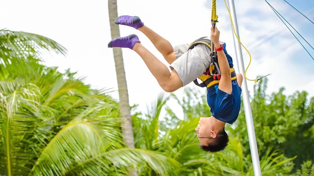 Person ziplining at Mega Adventure Park, Singapore, surrounded by palm trees.