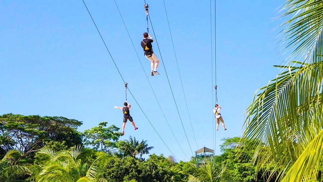 Visitors ziplining over lush greenery at Mega Adventure Park, Singapore.