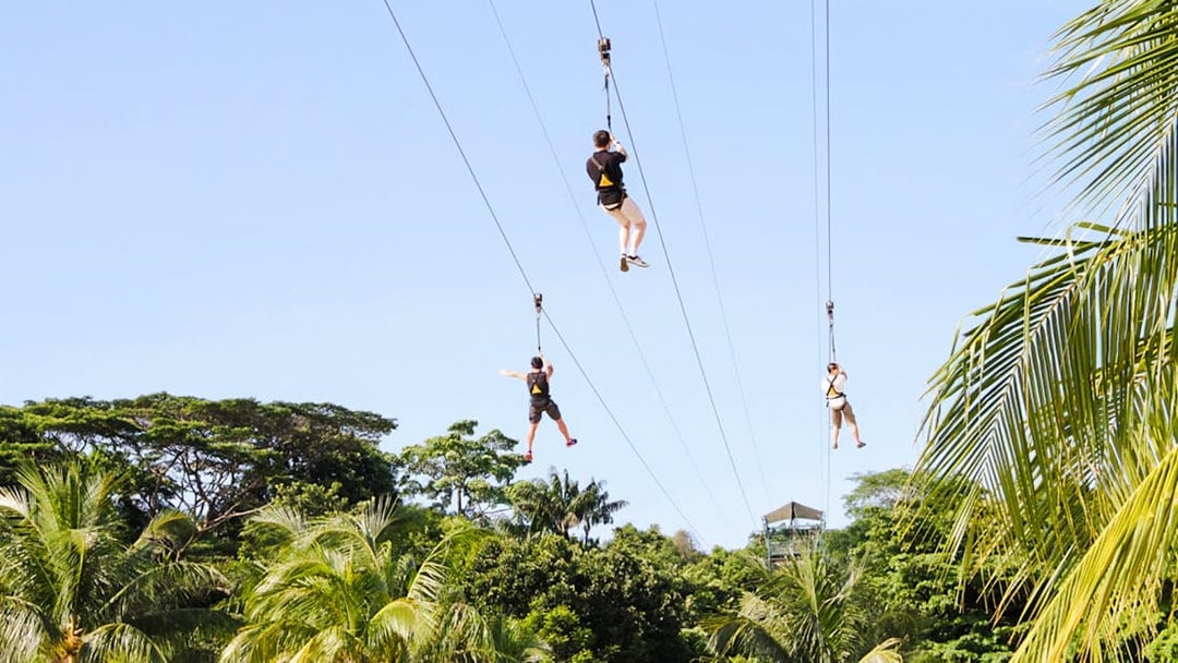 Ziplining over lush greenery at Mega Adventure Park, Singapore.