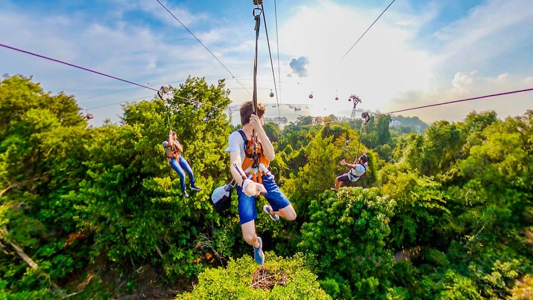 Visitors ziplining over lush greenery at Mega Adventure Park, Singapore.