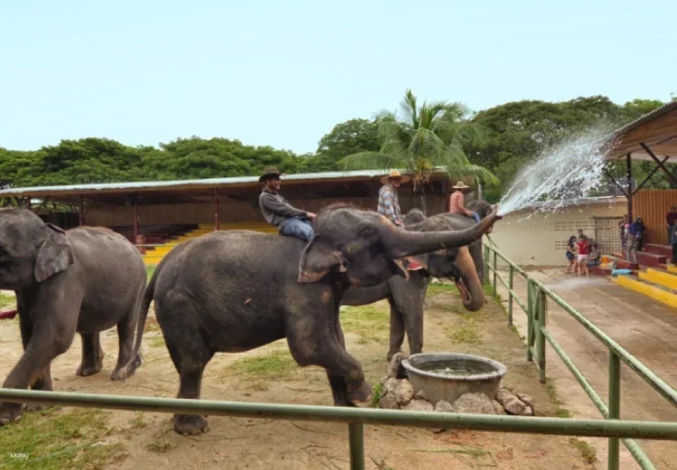 Melaka A'Famosa Water Theme Park & Safari Wonderland Ticket | Malaysia