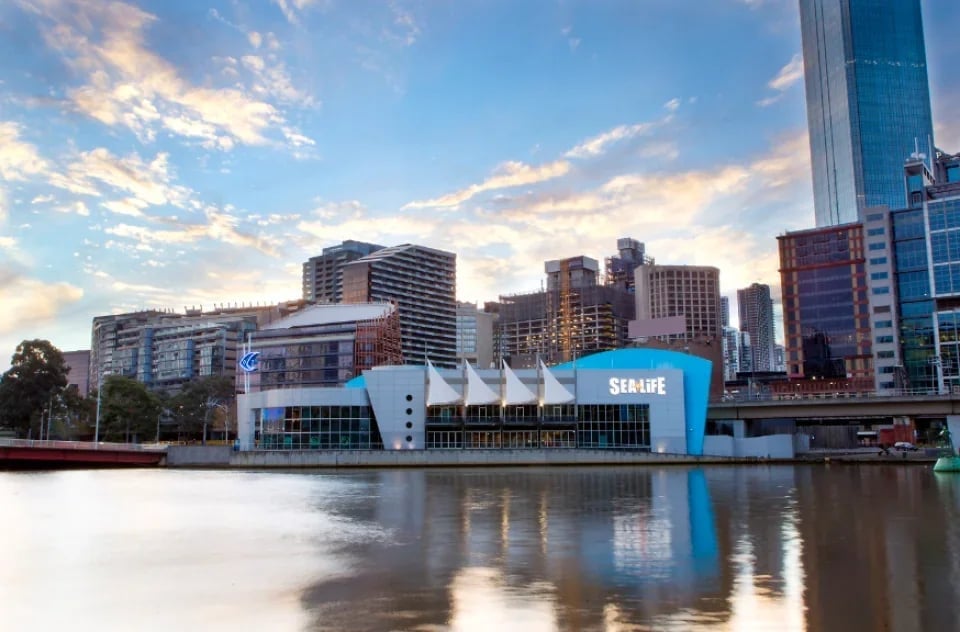 Melbourne SEA LIFE Aquarium Tickets | Victoria