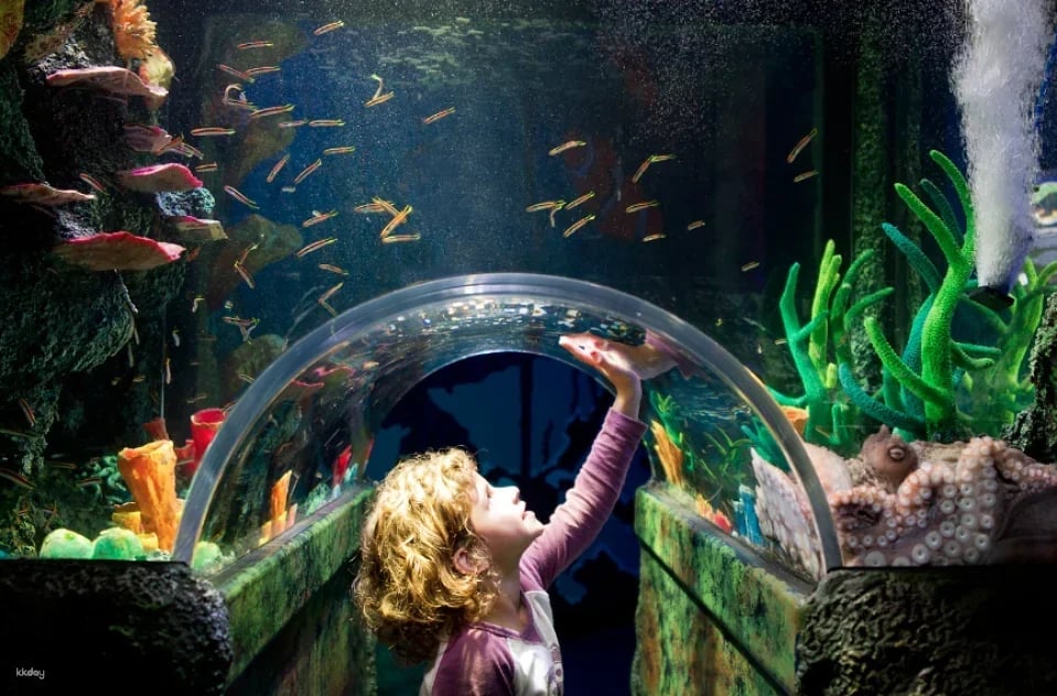 Melbourne SEA LIFE Aquarium Tickets | Victoria