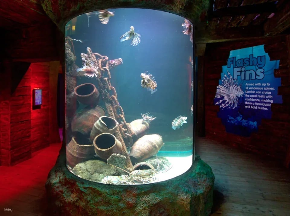 Melbourne SEA LIFE Aquarium Tickets | Victoria