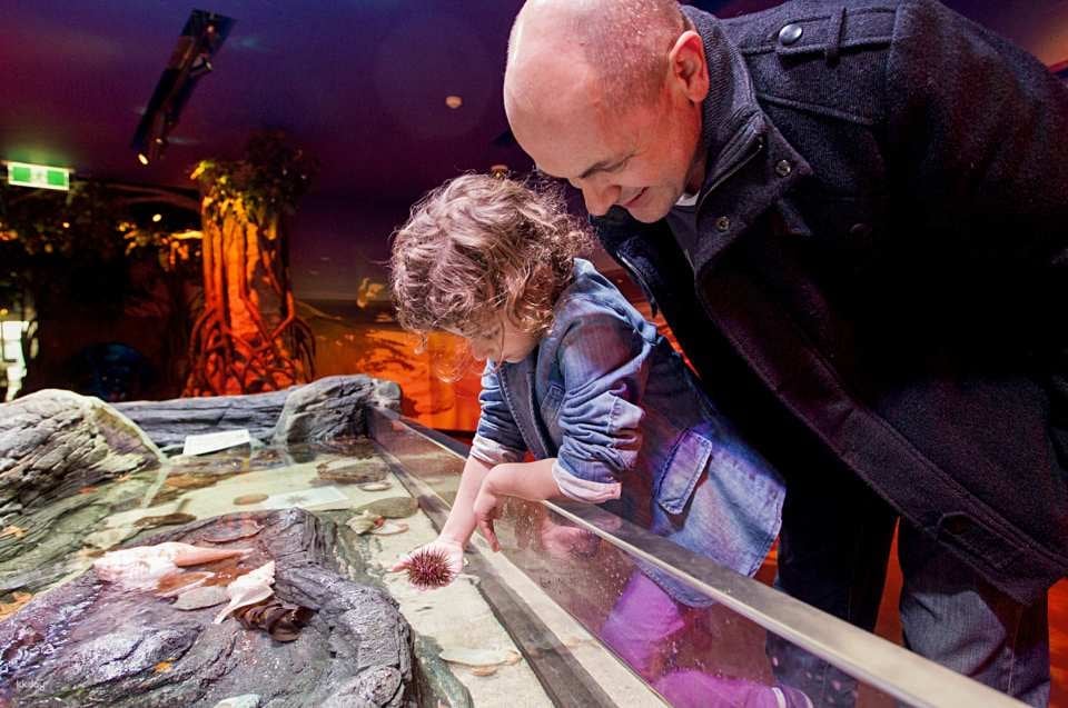 Melbourne SEA LIFE Aquarium Tickets | Victoria