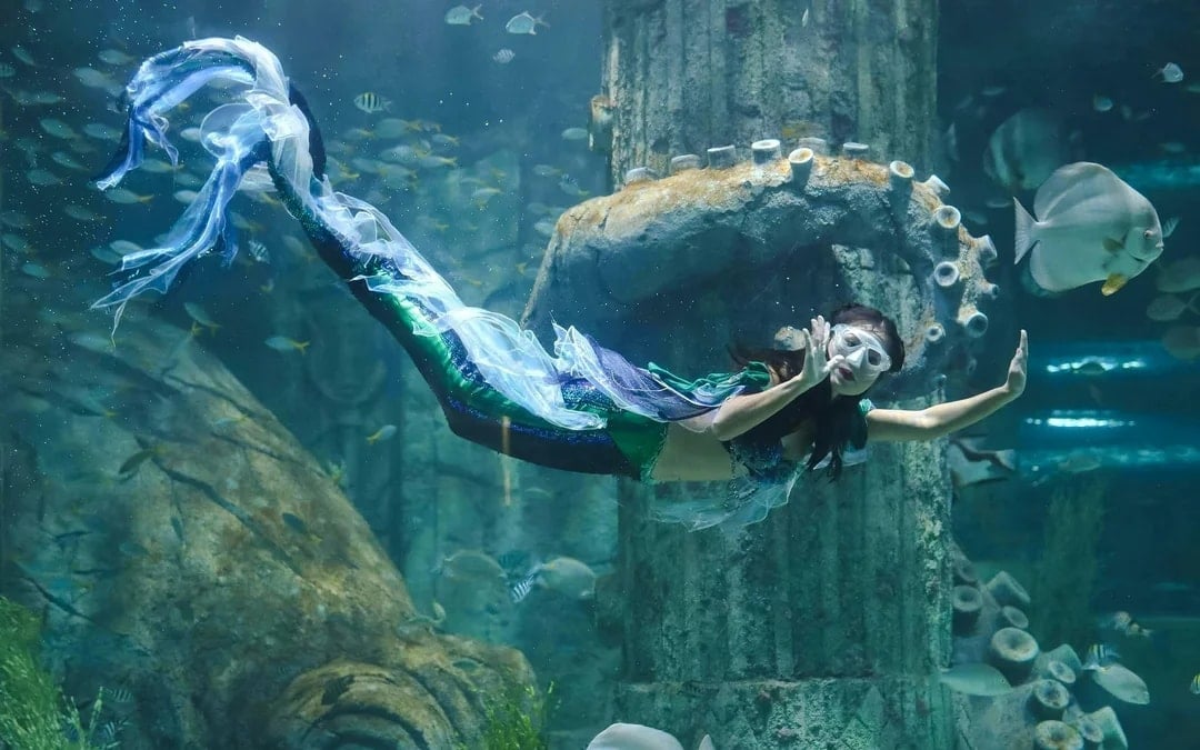 Mermaid Show Tickets Image 1