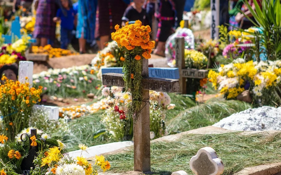 Mexico City Day of the Dead Guided Tour with Round-Trip Transfers Image 8