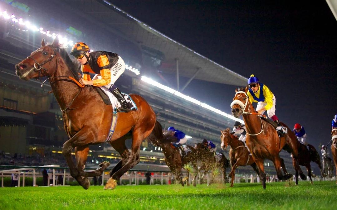 Meydan Races Image 2