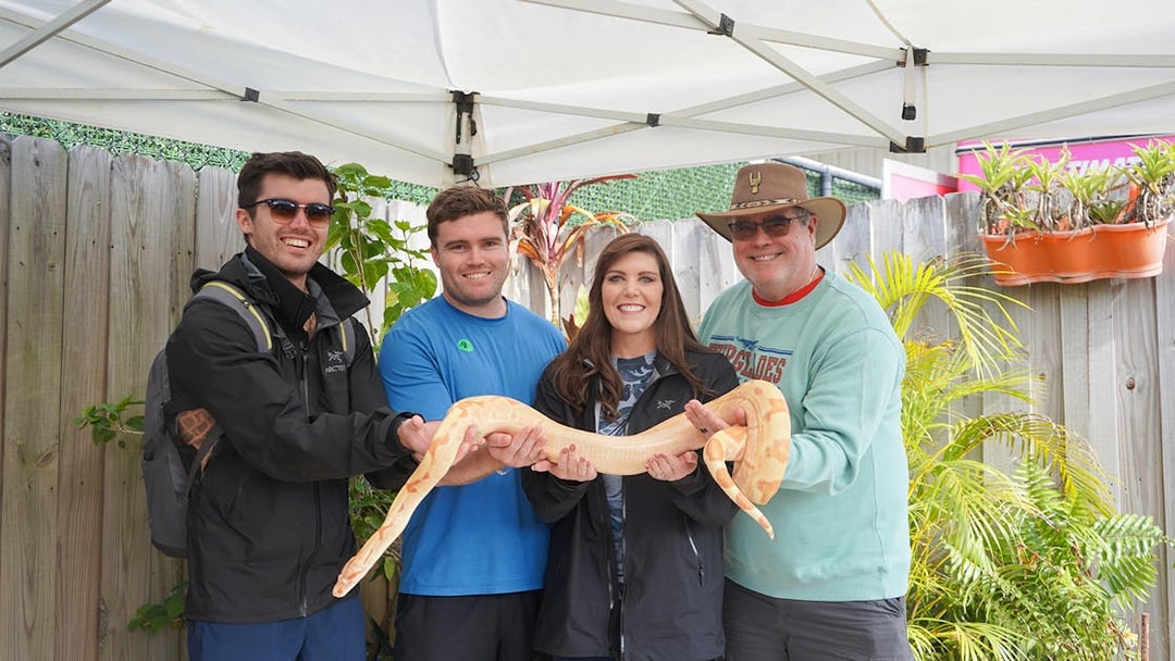 Group holding a large snake during Holiday Park animal encounter experience.