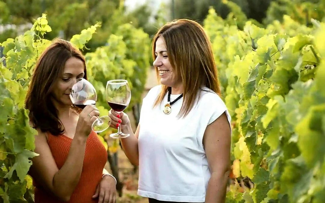 Mijas Organic Vineyard Tour and Tasting with 5 Wines, 2 Olive Oils and Tapas