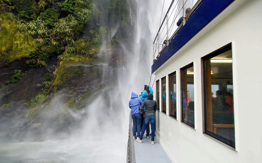 Milford Sound Cruise with Optional Lunch Image 8