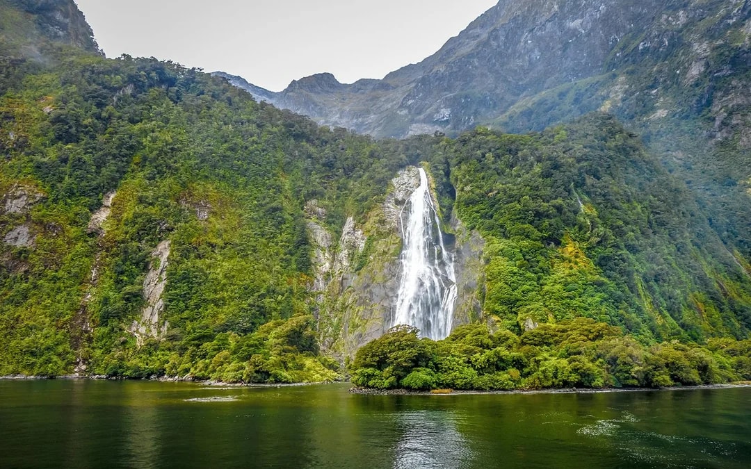 Premium Milford Sound Cruise with Gourmet Canapes & Sparkling Wine Image 6
