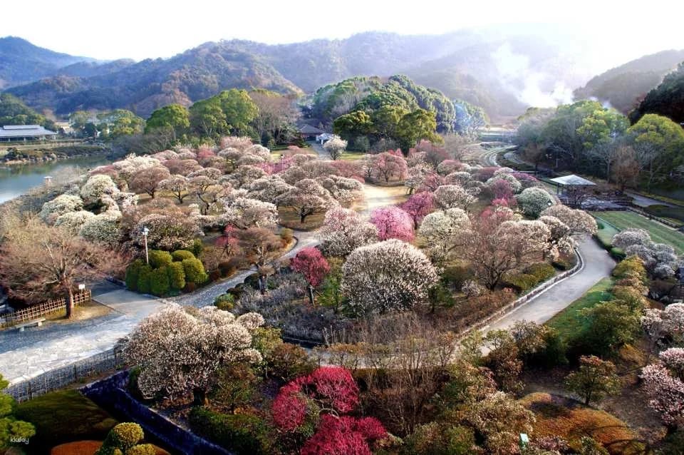 Minami Rakuen Admission Ticket (Garden, Uwajima City, Ehime Prefecture)