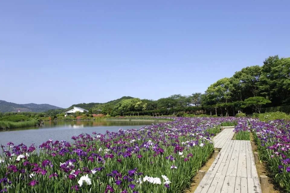 Minami Rakuen Admission Ticket (Garden, Uwajima City, Ehime Prefecture)