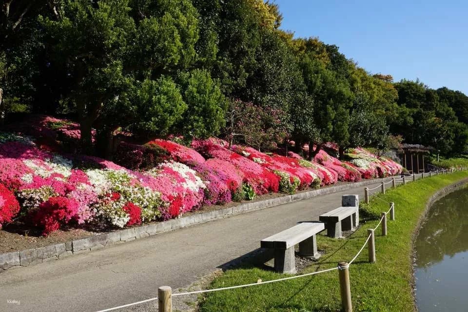 Minami Rakuen Admission Ticket (Garden, Uwajima City, Ehime Prefecture)