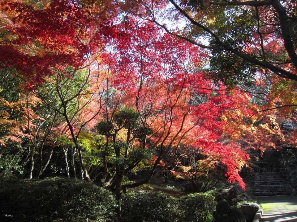 Minami Rakuen Admission Ticket (Garden, Uwajima City, Ehime Prefecture)