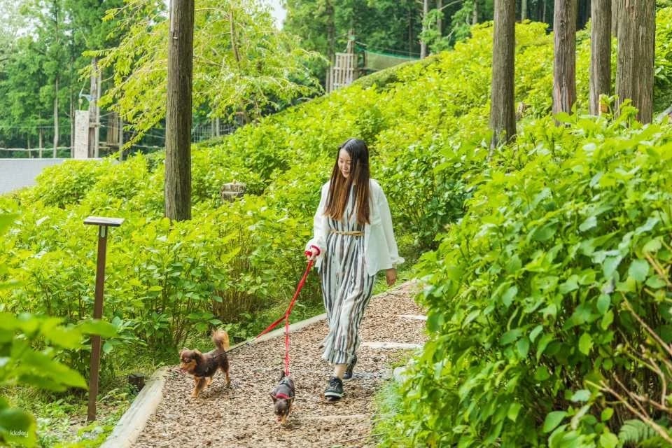Mishima Sky Walk Advance Ticket | Japan