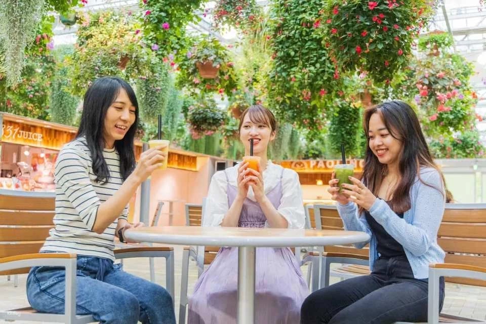 Mishima Sky Walk Advance Ticket | Japan