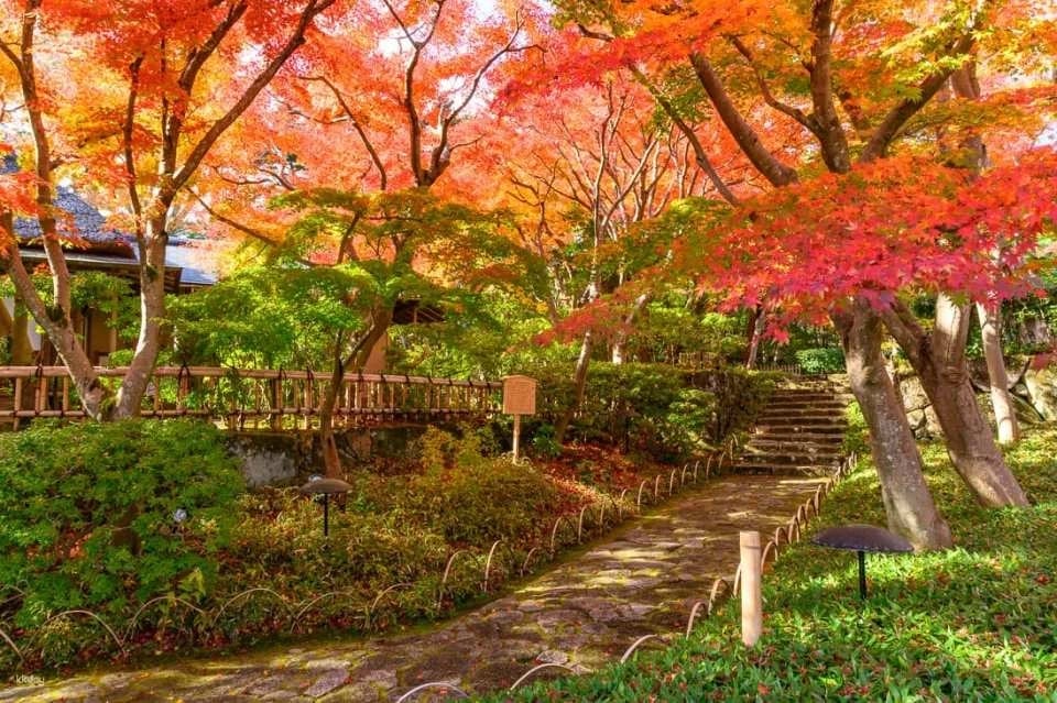 MOA Museum of Art Ticket | Atami, Japan