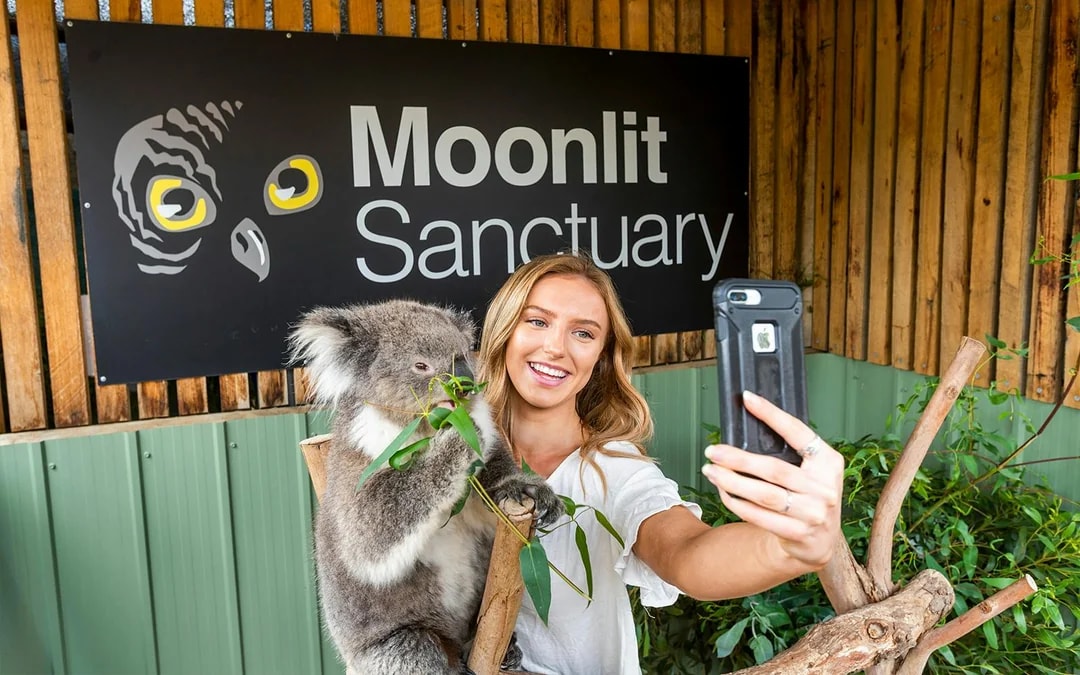 Moonlit Sanctuary Wildlife Park Admission Tickets Image 1