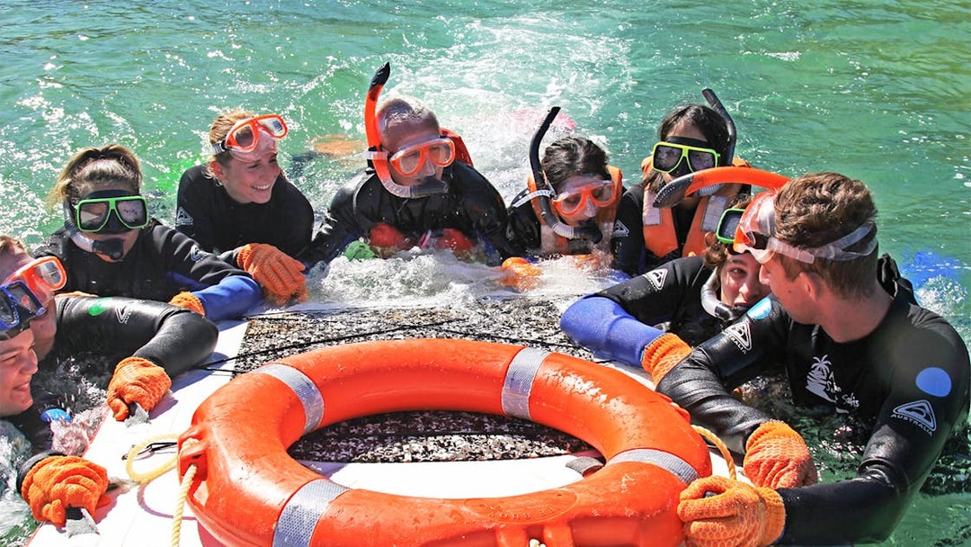 Snorkelers in wetsuits gather around a life ring during Moreton Island tour.