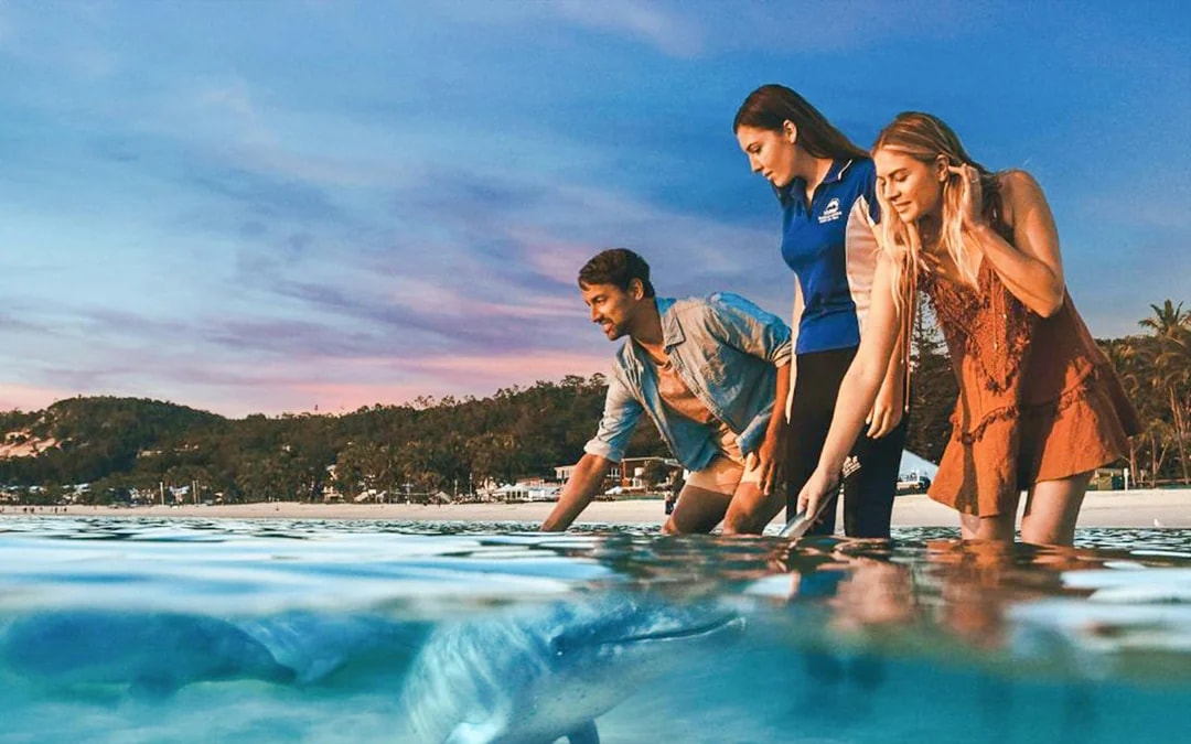 Moreton Island: Tangalooma Resort Cruise with Quad Bike Tour and Dolphin Feeding Image 2