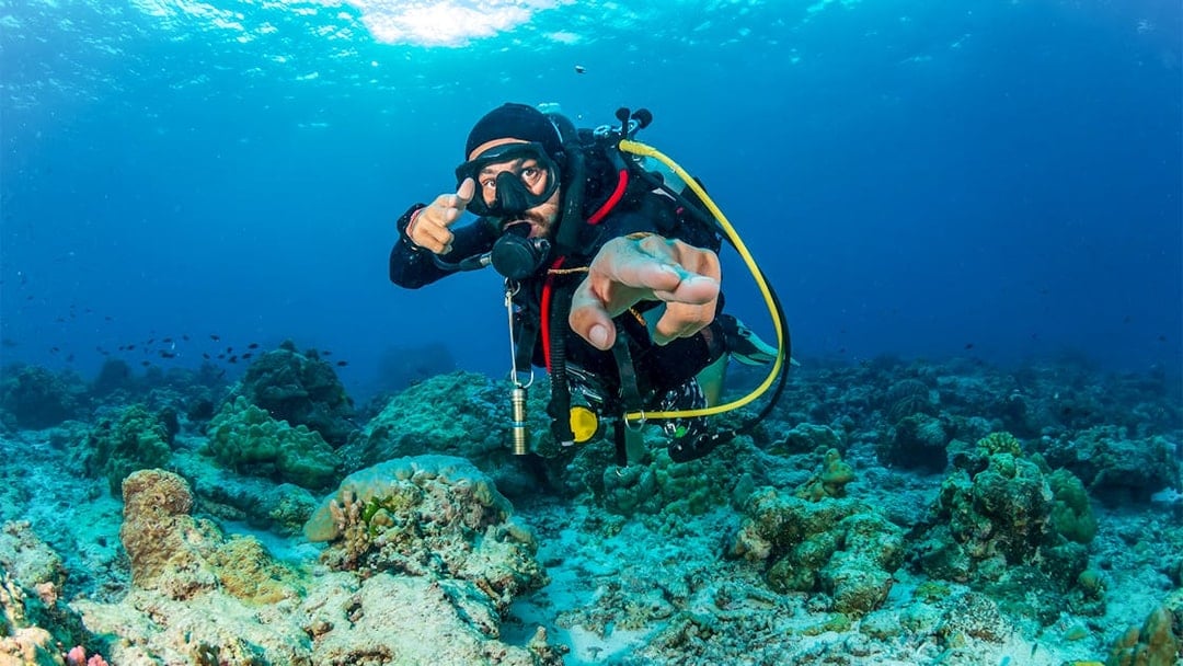 SCUBA diver exploring coral reef with tropical fish in clear blue water.