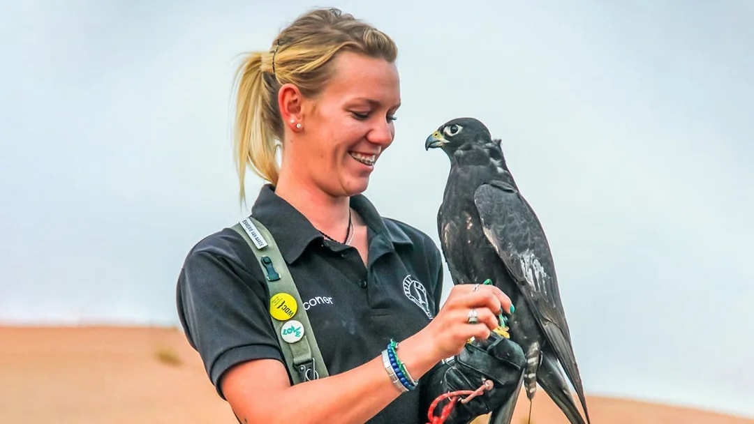 Person holding a falcon during a morning desert safari experience.