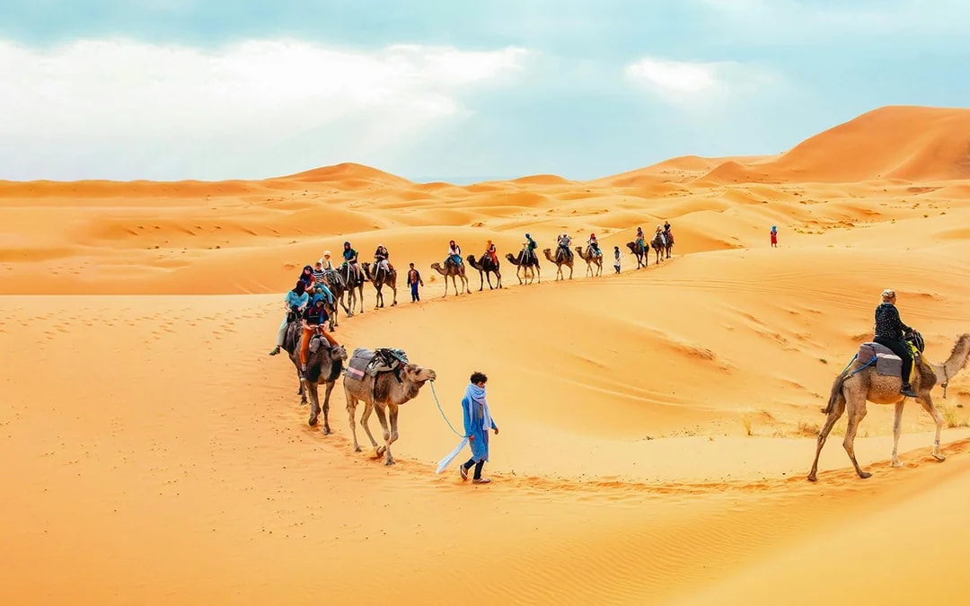 Morning Desert Safari with Camel Farm Visit & Sandboarding Image 1