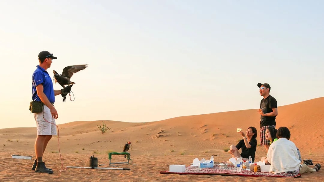 Desert safari group watching falconry demonstration in the sand dunes.