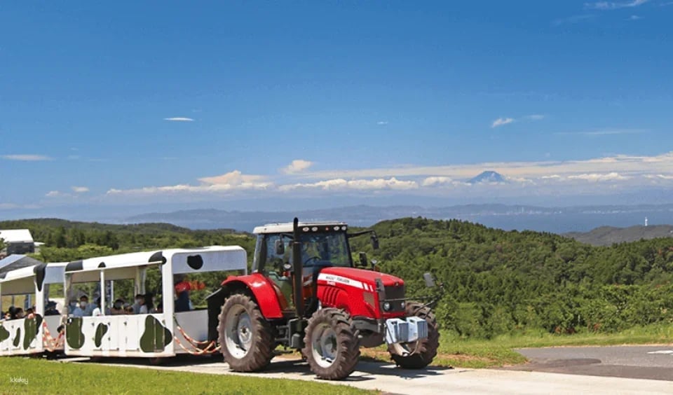 Mother Farm E-Ticket in Chiba, Japan