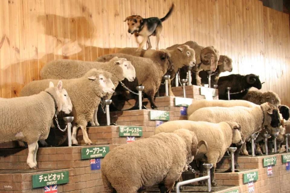 Mother Farm E-Ticket in Chiba, Japan