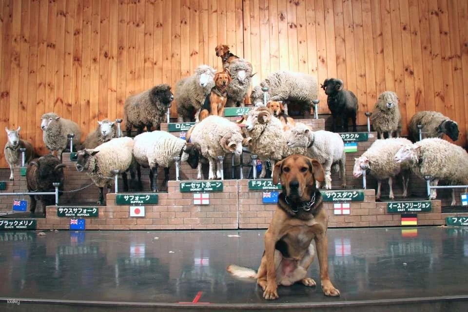 Mother Farm E-Ticket in Chiba, Japan
