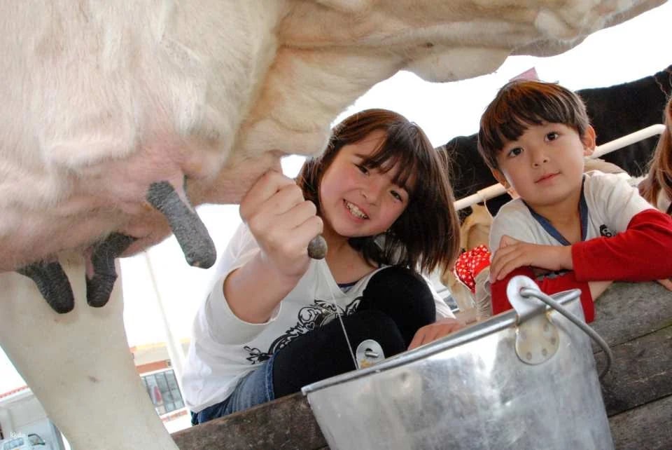 Mother Farm E-Ticket in Chiba, Japan