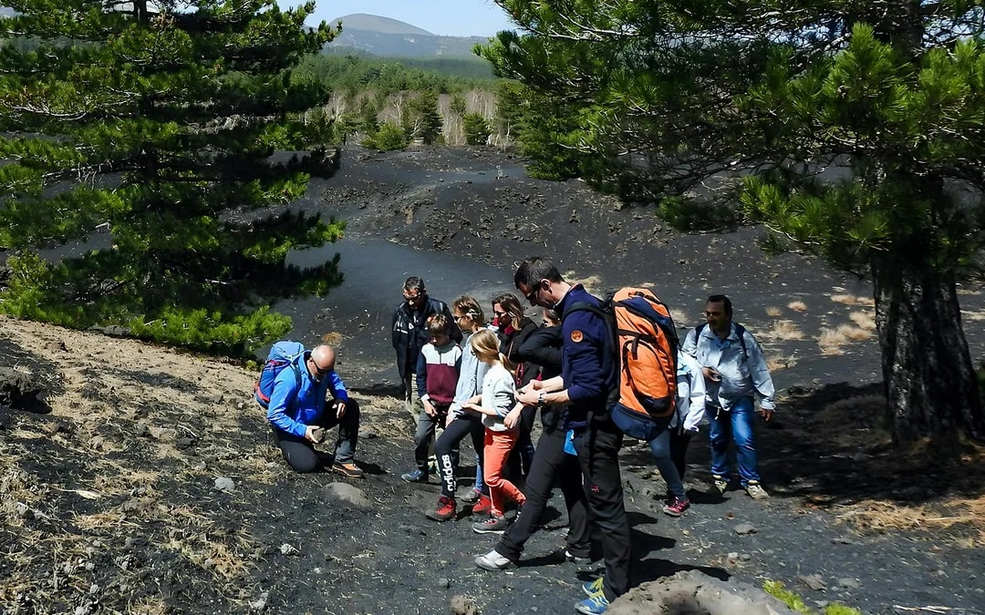 Mount Etna and Cave Half-Day Guided Tour Image 5