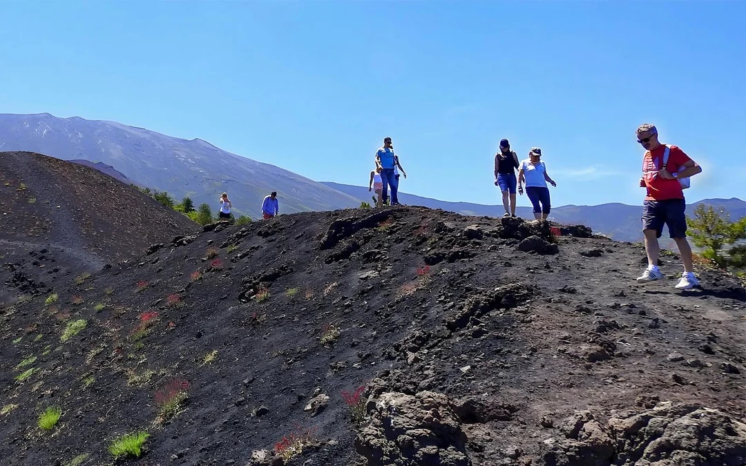 Mount Etna and Cave Half-Day Guided Tour Image 9