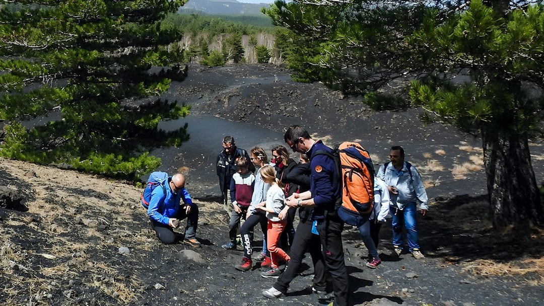 Group hiking on Mount Etna's volcanic terrain surrounded by pine trees.