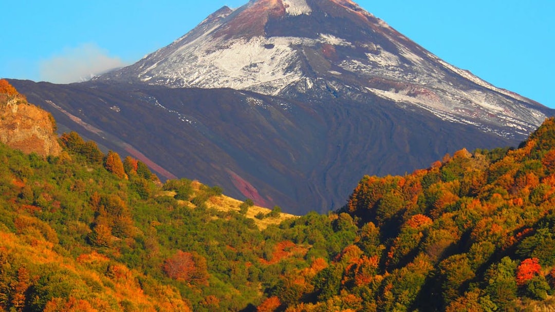 Mount Etna with autumn foliage, Sicily, Italy, part of a Jeep tour with wine tasting.