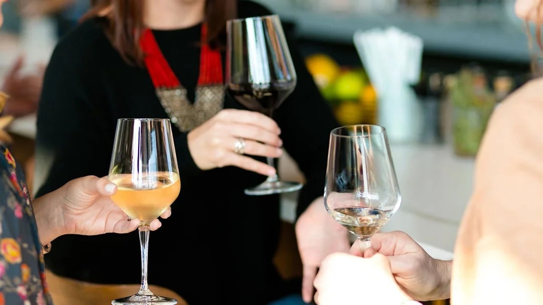 Wine glasses raised during Etna wine tasting tour from Taormina.