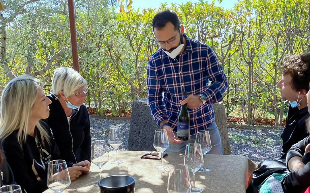 Mount Etna Guided Tour with Wine and Olive Oil Tasting Image 7
