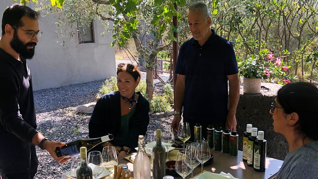 Group enjoying wine and olive oil tasting at Mount Etna tour.