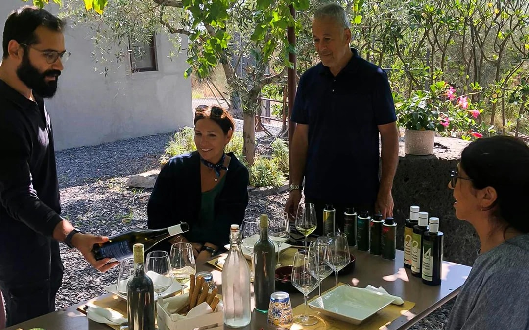 Mount Etna Guided Tour with Wine and Olive Oil Tasting Image 9