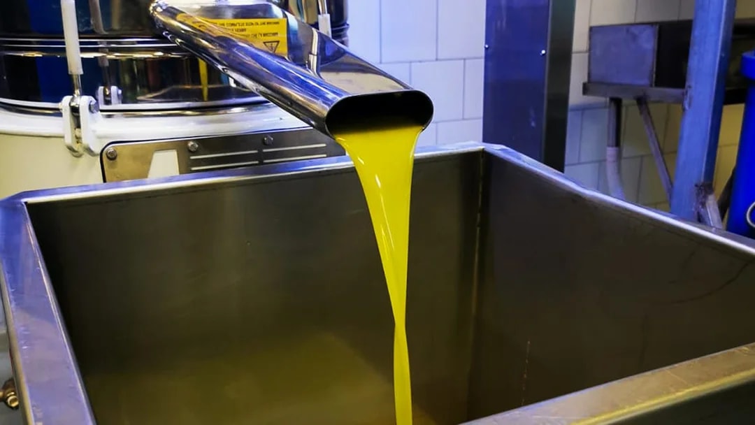 Olive oil flowing into a container during a Mount Etna tour with wine and olive oil tasting.