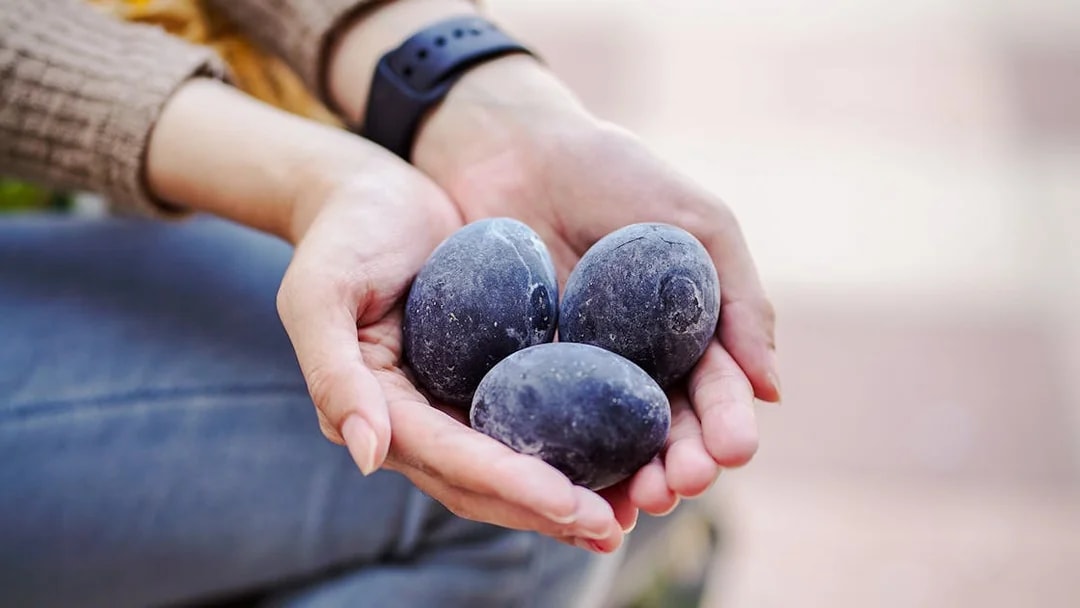 Hands holding black eggs boiled at Owakudani Valley, Hakone.