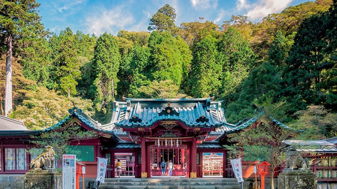 Hakone Shrine entrance with visitors, surrounded by lush forest in Japan.