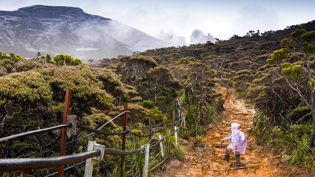 Hiker ascending rocky path on Mount Kinabalu Summit Tour, surrounded by lush vegetation.