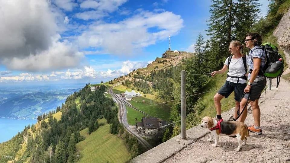 Mount Rigi Round Trip Ticket with Lake Lucerne Boat ride | Switzerland